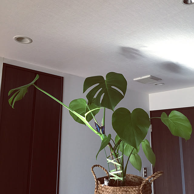 HKSさんの実例写真