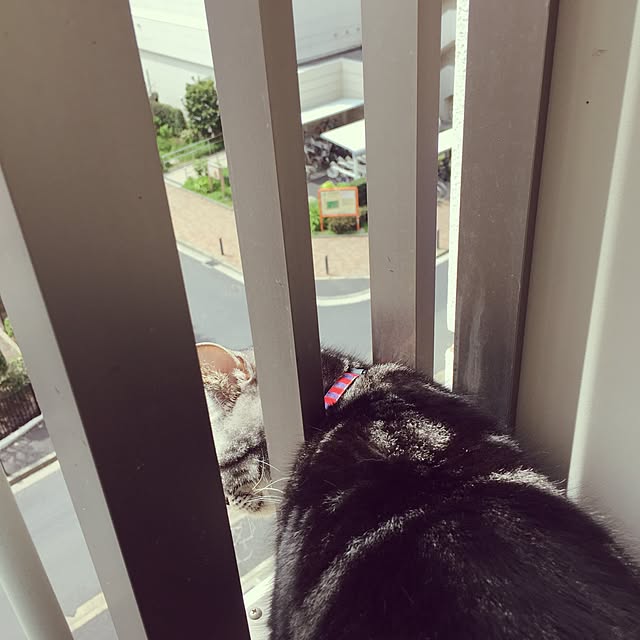 hiyupan88さんの実例写真