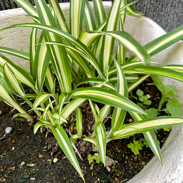 YuuKoさんの部屋