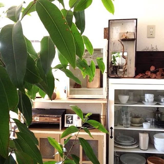 ot_aka1964さんの実例写真