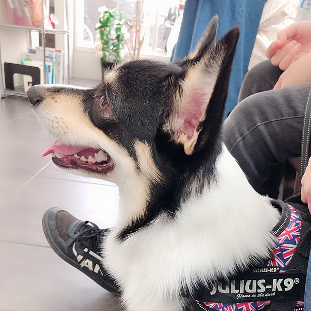 Ruiさんの実例写真
