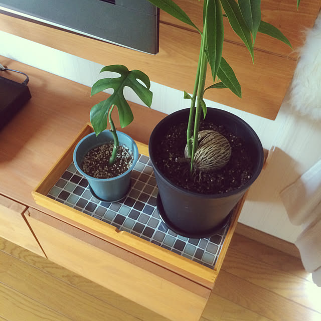 yukaさんの実例写真