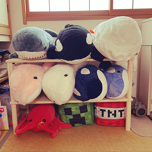 sucoriさんの実例写真