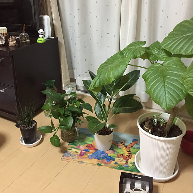 emiさんの実例写真