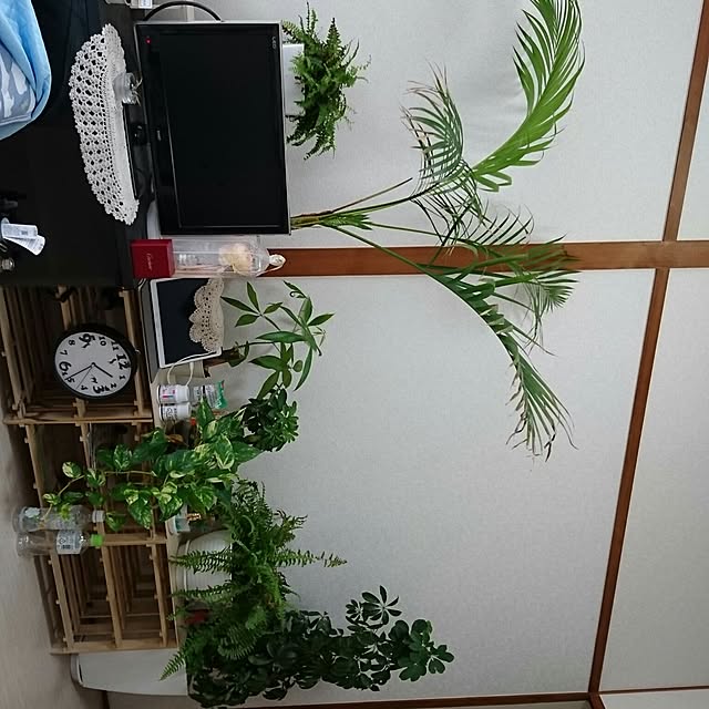 実例写真