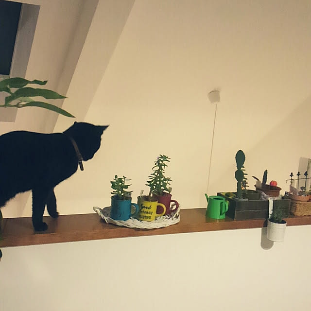 chako.さんの実例写真