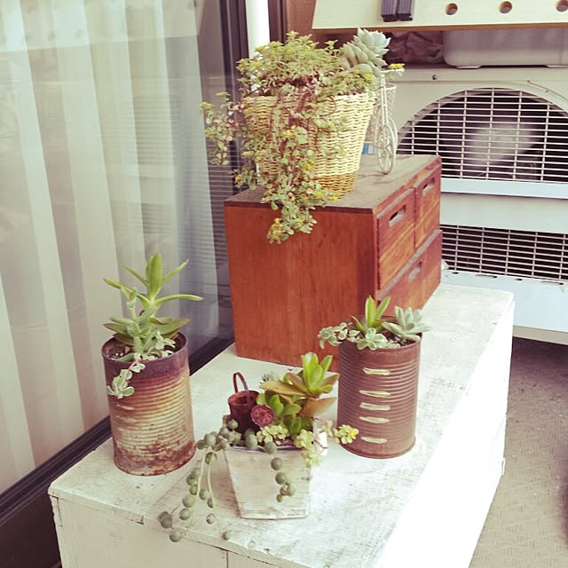 rorochimanさんの実例写真