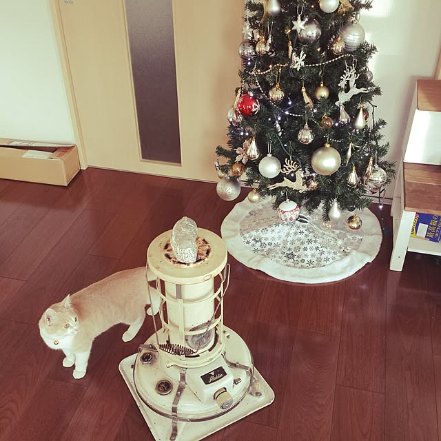 kumaさんの実例写真