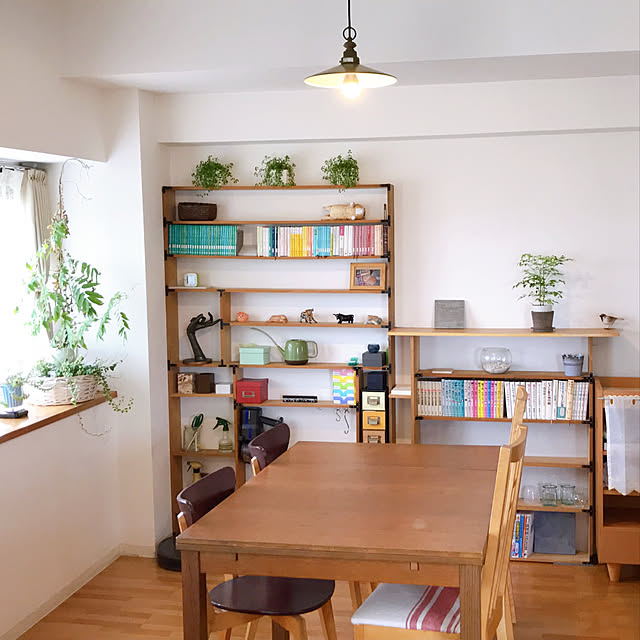 DIY/雑貨/ナチュラル/観葉植物/棚のインテリア実例 - 2019-07-15 13:37:04