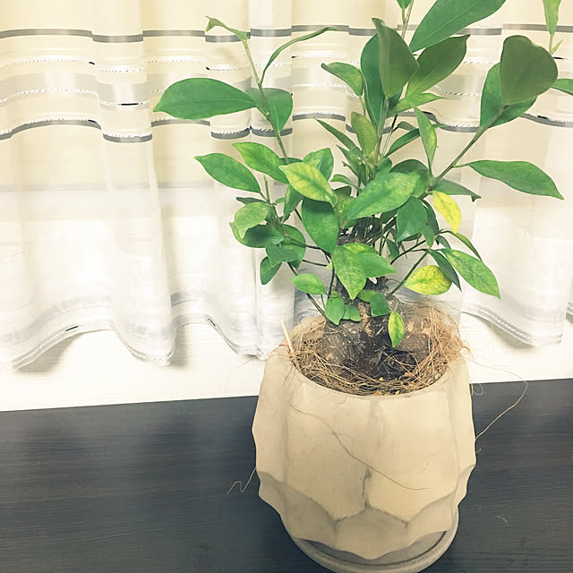 MKさんの実例写真