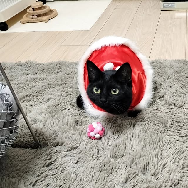 sakuraさんの部屋