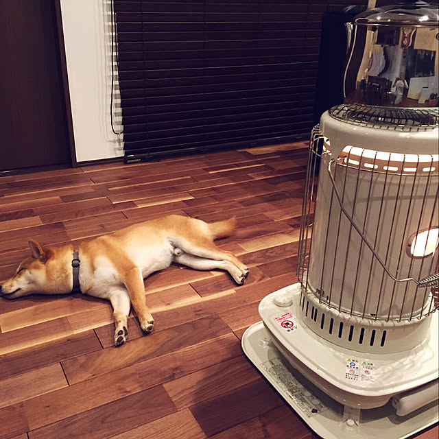 kaOriさんの実例写真