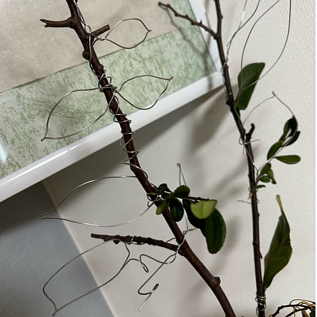 syutmmさんの部屋