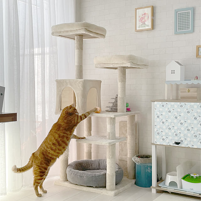 ❤仔猫もシニア猫も遊べる&ゆったり寛げると大人気♪❤お洒落 ❤仔猫もシニア猫も遊べる&ゆったり寛げると大人気♪❤お洒落