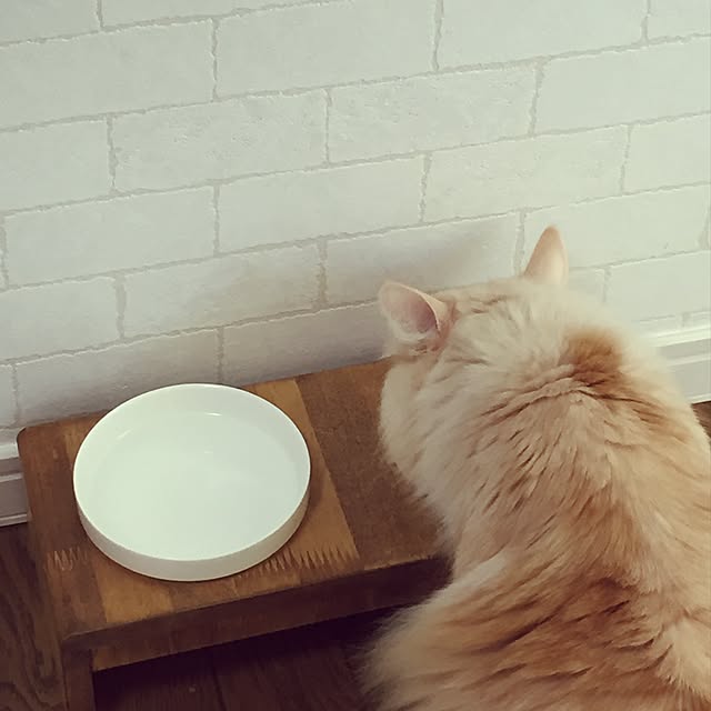 favorlyさんの実例写真