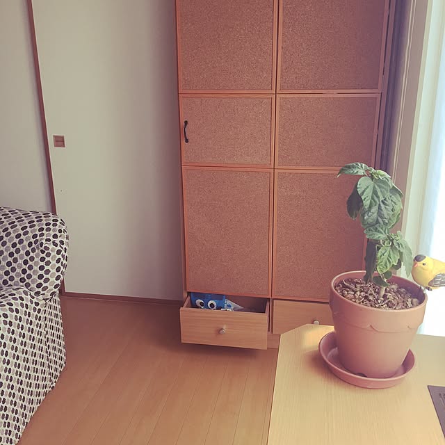 hiroranさんの実例写真
