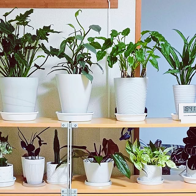 hanachanさんの部屋