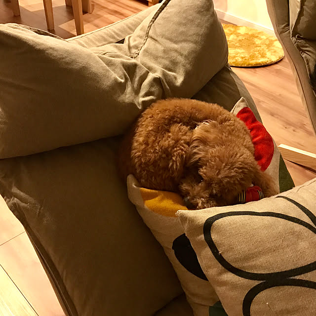 maguさんの実例写真