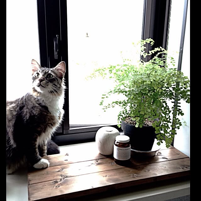 jnkaiさんの実例写真