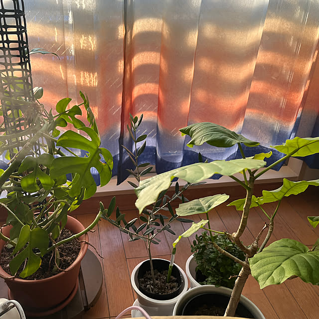 khaiさんの部屋