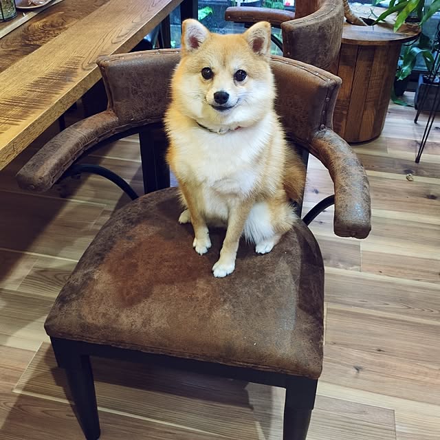 milkyさんの実例写真
