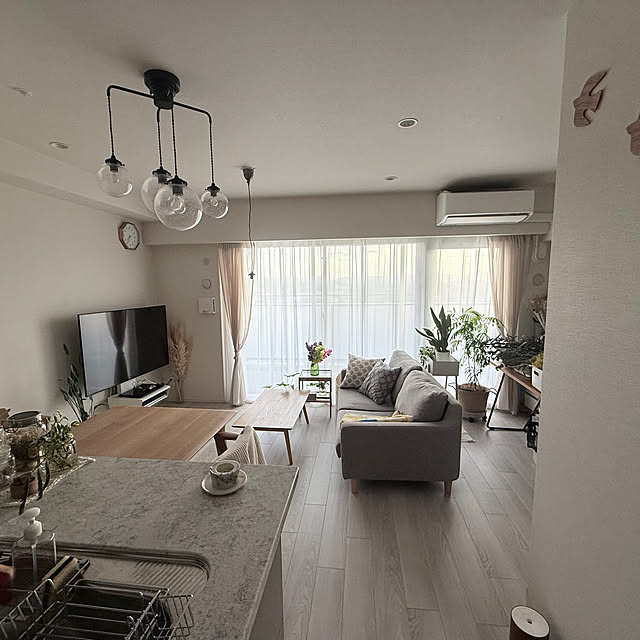 kokedamaさんの部屋