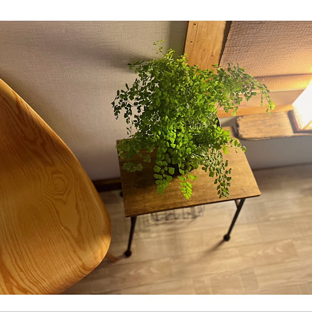 rookuさんの部屋