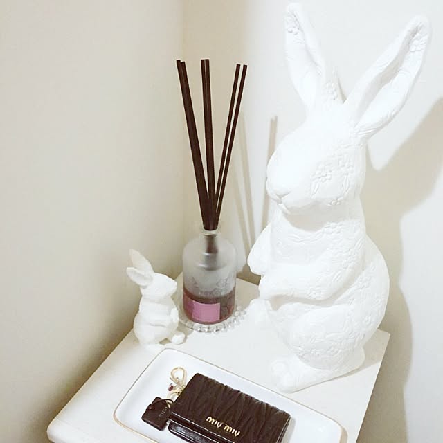 Lapinさんの実例写真