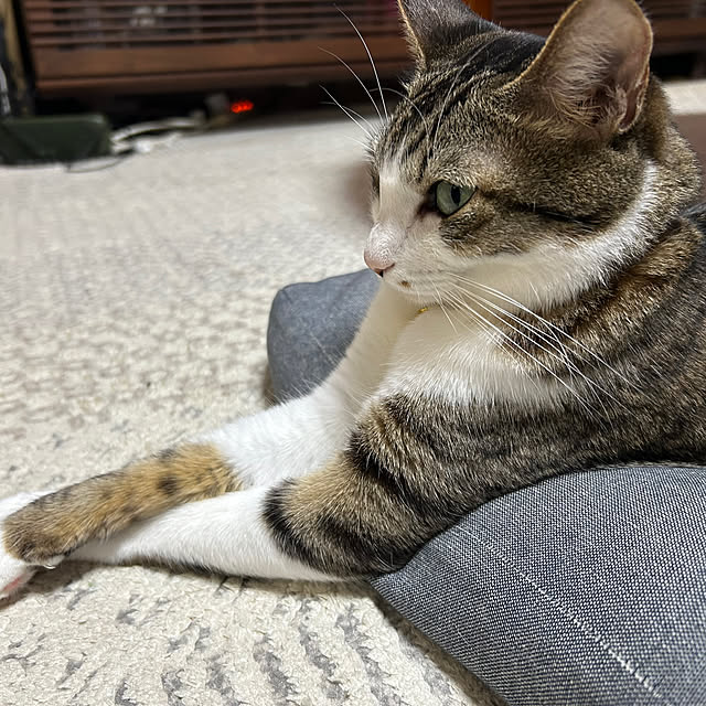 nacchi4さんの部屋