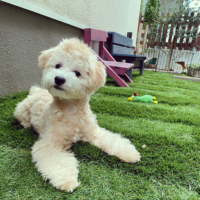 Minakoさんの実例写真