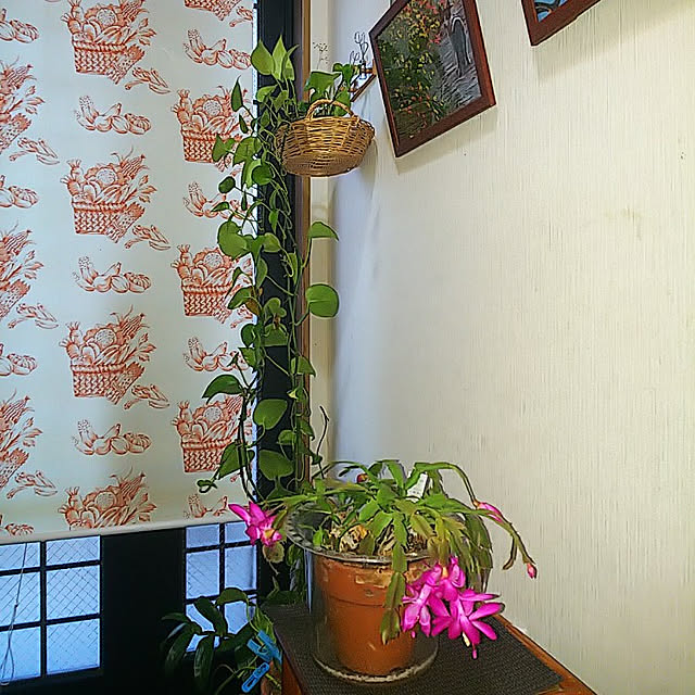 mitsuyama3136さんの実例写真