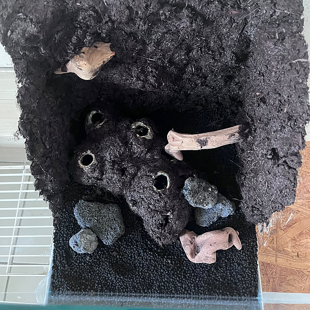 riakanaさんの部屋
