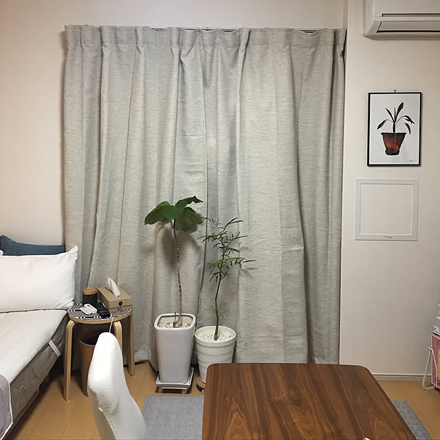 kumazouさんの実例写真