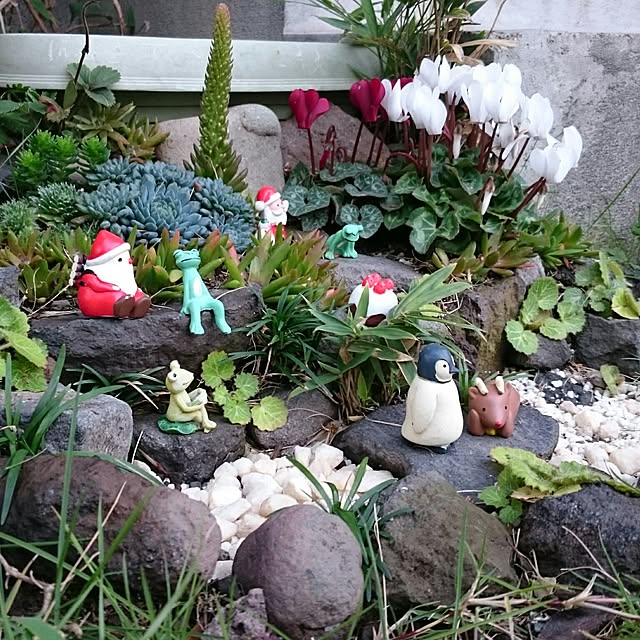 aomonさんの実例写真