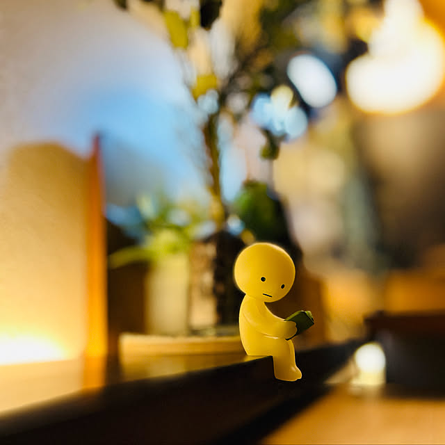 auraさんの実例写真