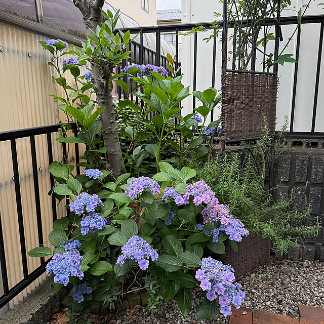 yumirilさんの部屋
