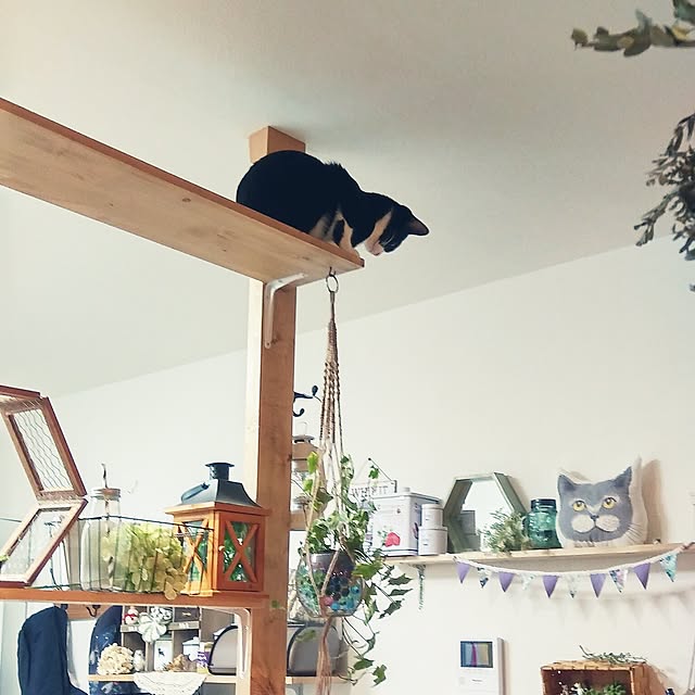 Gomaさんの実例写真