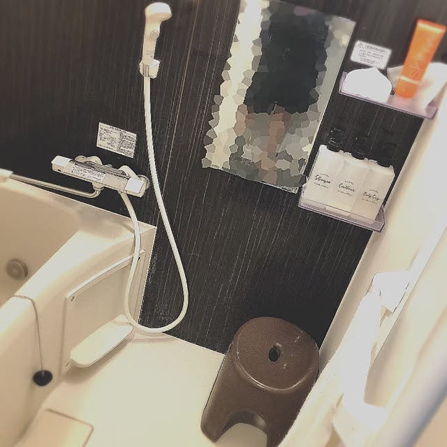 kaoshikaさんの実例写真