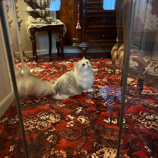 AYUKOさんの部屋