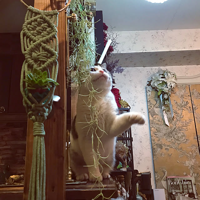 emmyyさんの実例写真