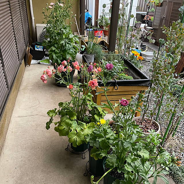 shino_chanさんの部屋