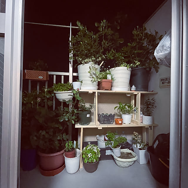 観葉植物/庭/DIY/リビングのインテリア実例 - 2021-05-07 15:36:24