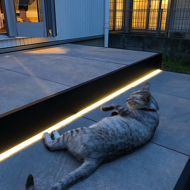 KuroTamaさんの実例写真