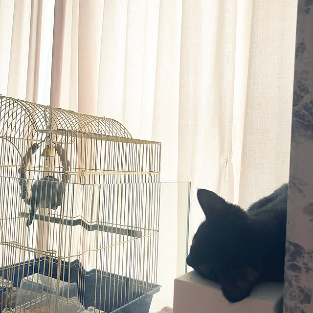 kanaさんの実例写真