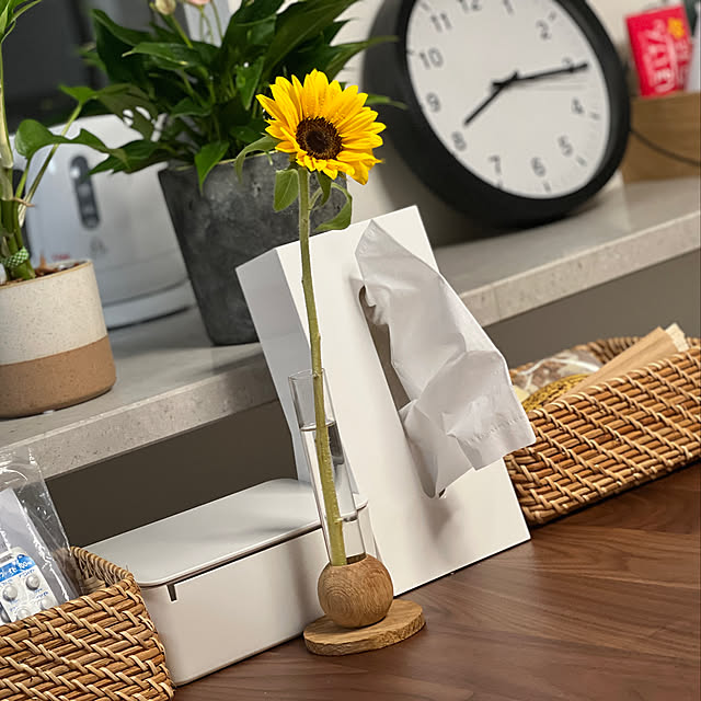 かご収納/無印良品/観葉植物/片付け下手/キッチンのインテリア実例 - 2022-06-20 20:19:43