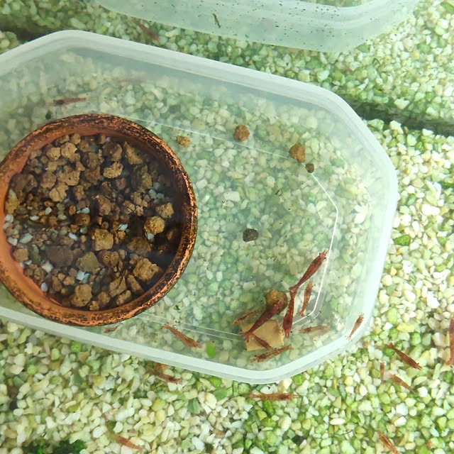 mariaさんの部屋