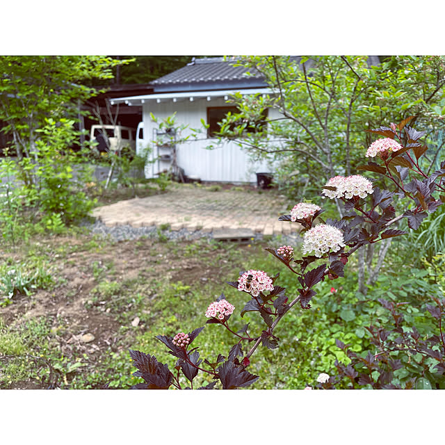 marucoさんの実例写真