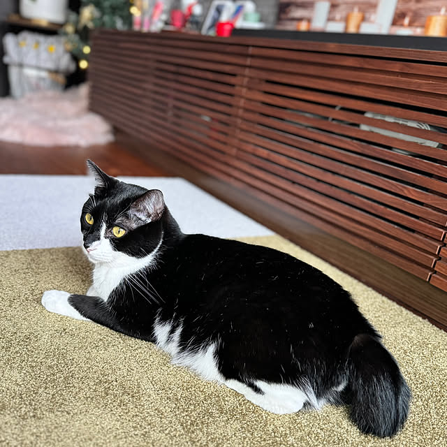 porinさんの実例写真