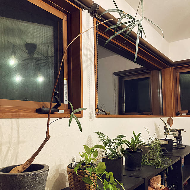 matthewさんの部屋