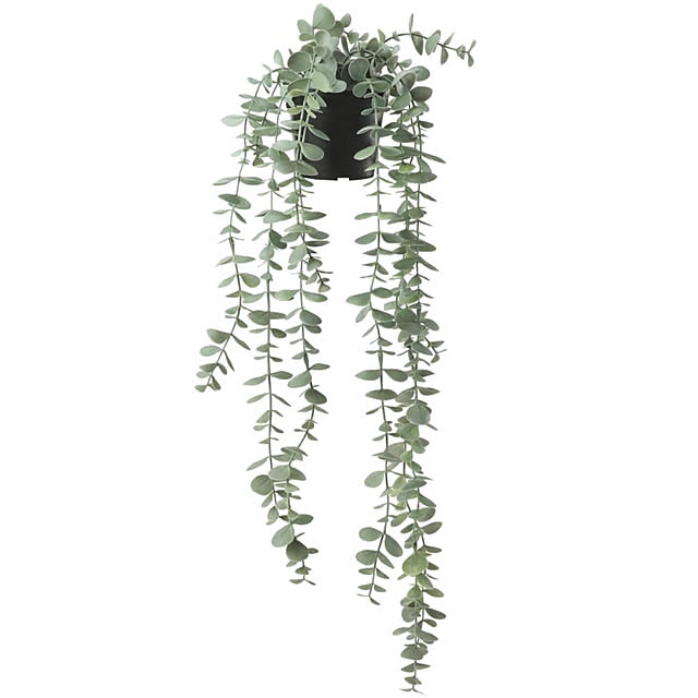 rikuerinka86さんの部屋